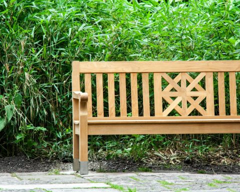 brown wooden bench beside green leaves