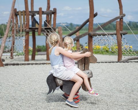 Houten speeltoestel met schommel en glijbaan in een tuin