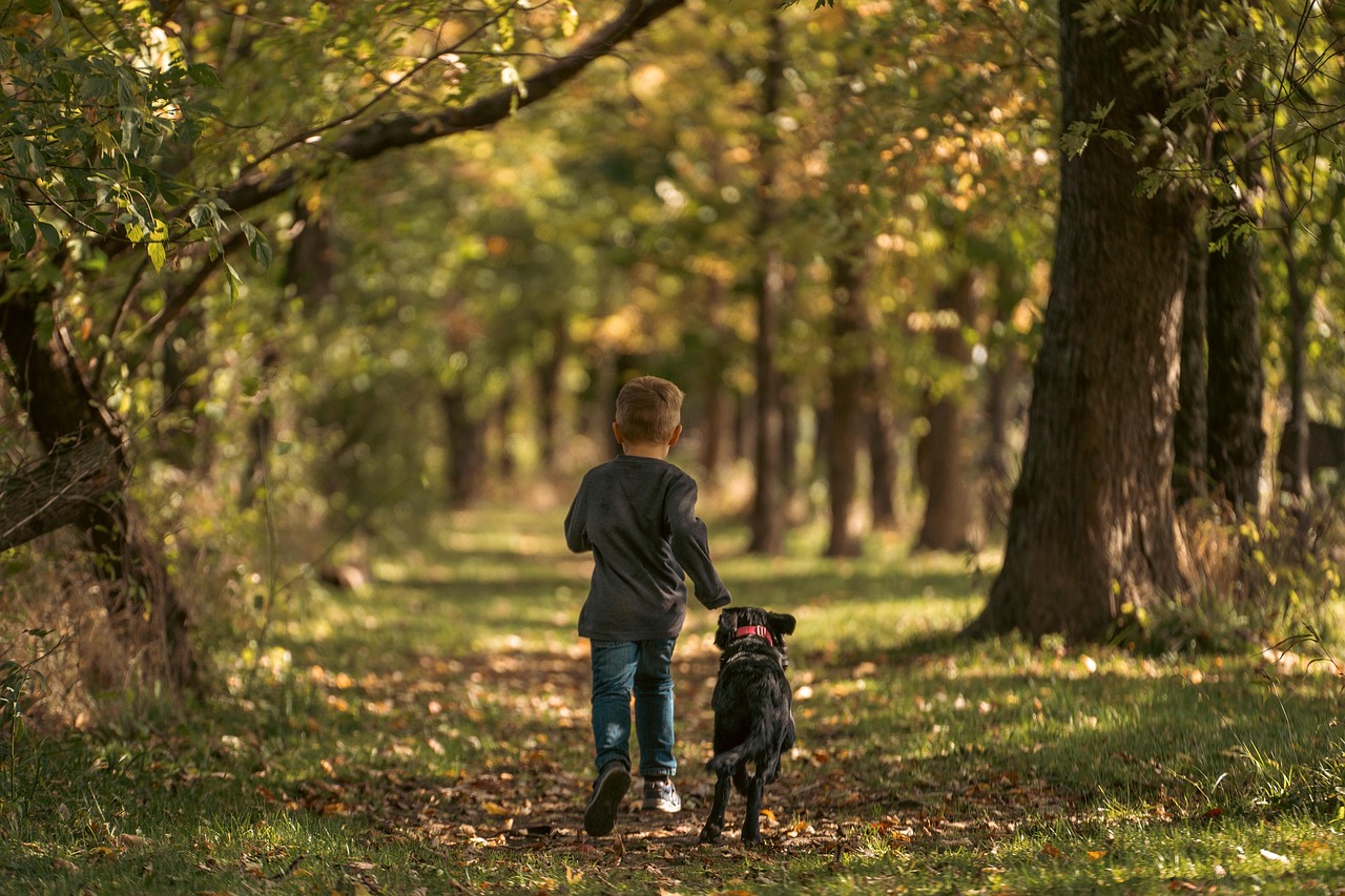 Man die loopt in een herfstbos met kleurrijke bladeren aan de bomen