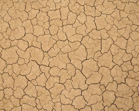 Verwaarloosde achtertuin met zware kleigrond en modderige borders na regenval
