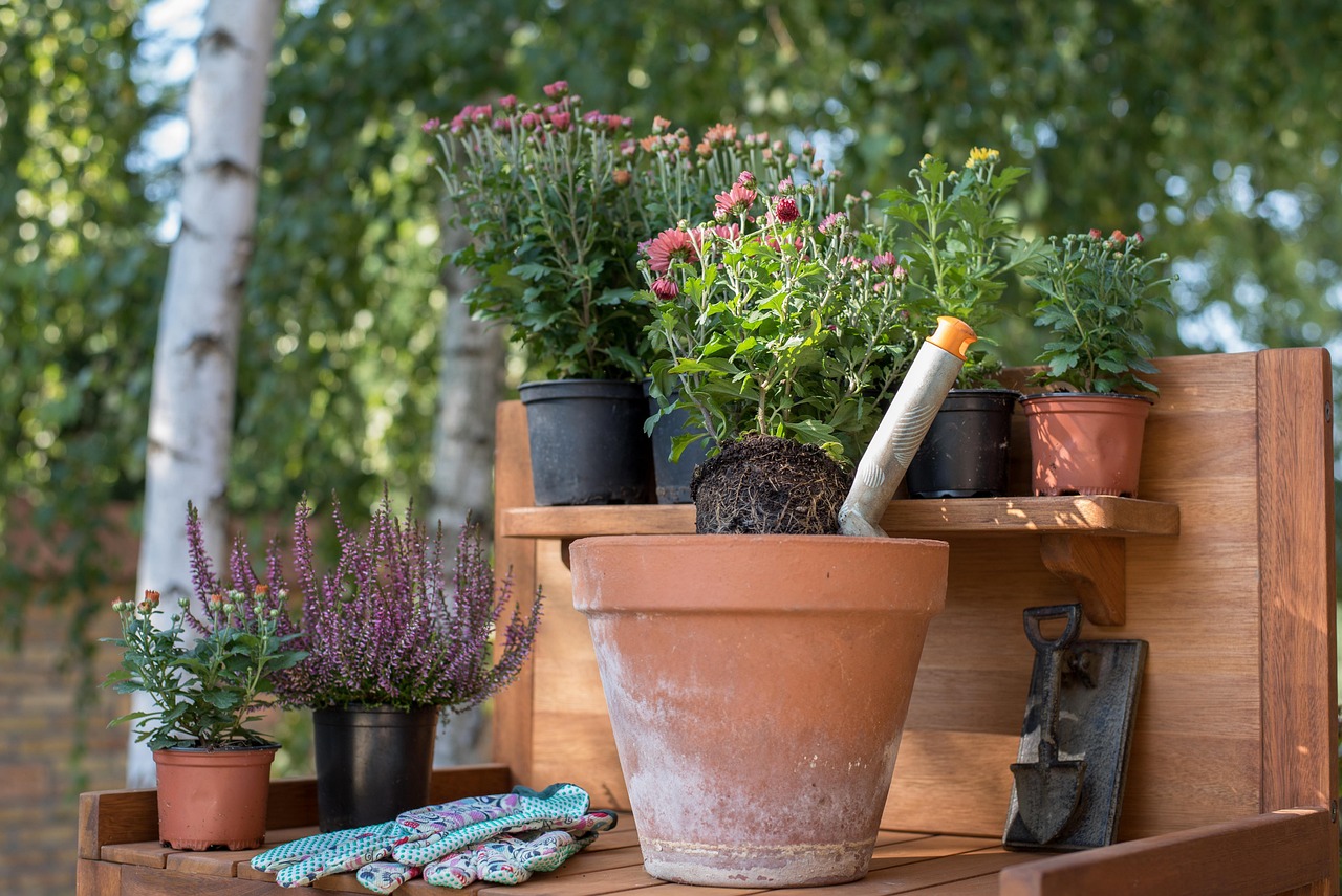 Man plant vaste planten in de tuin tijdens de herfst